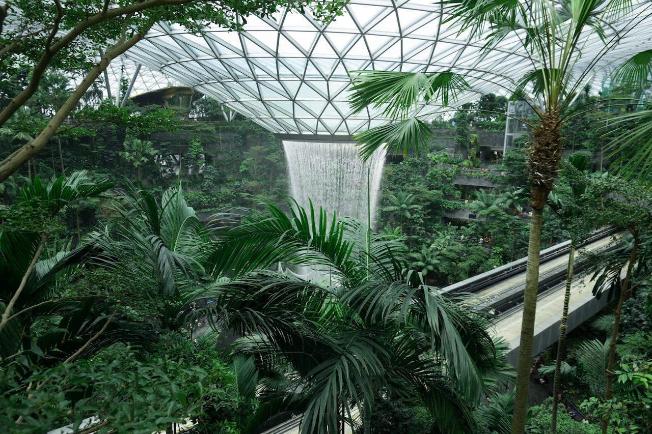 What is Sustainability: 4 Reasons Why Sustainability is Important