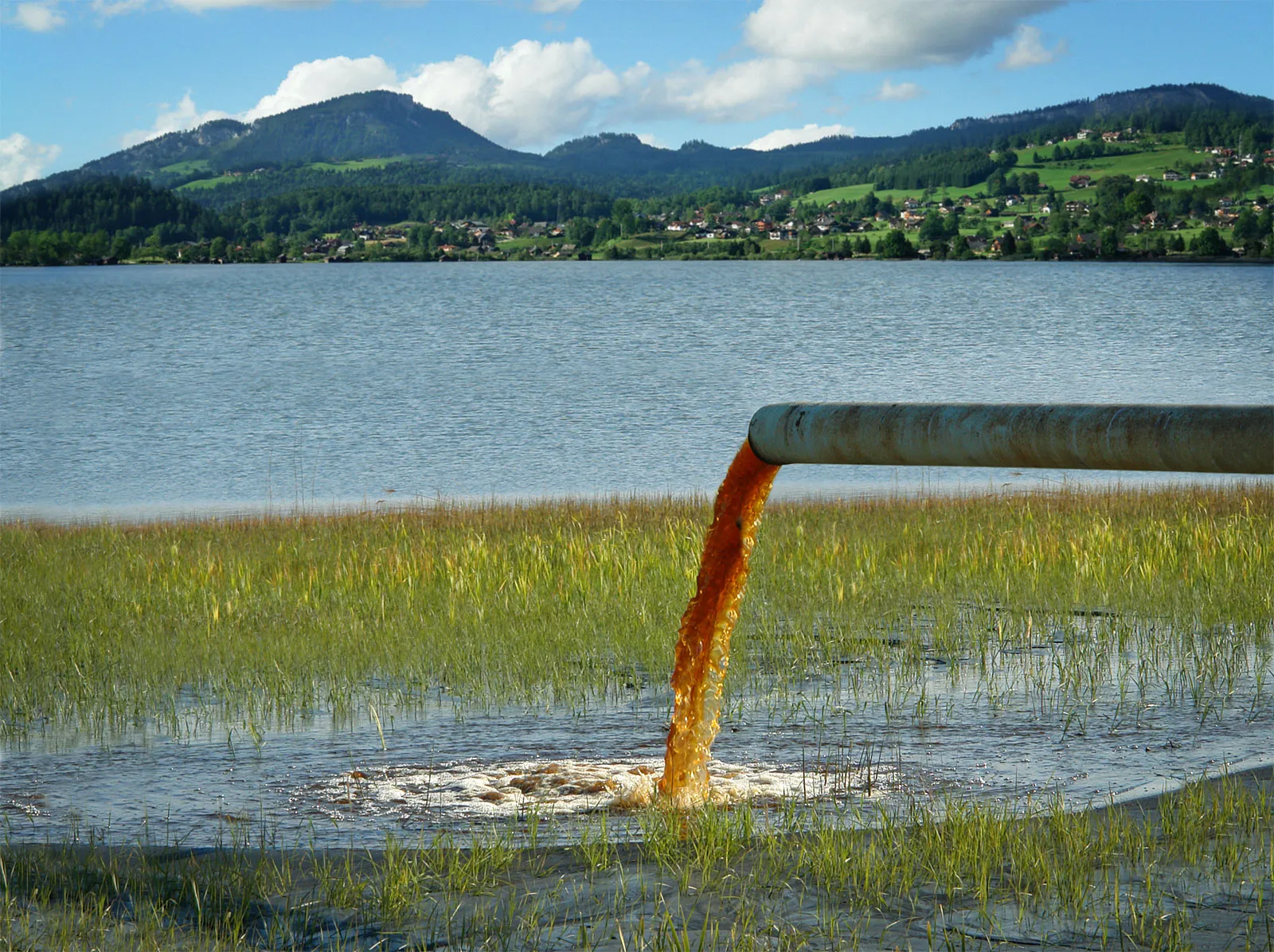 water pollution point sourceIndustrial wastewater gushing from a pipe into a wetland.